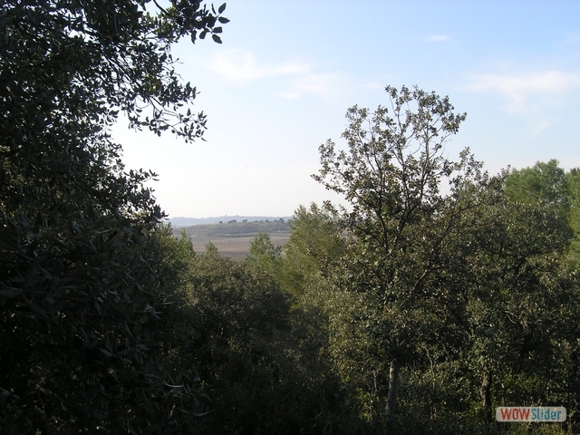 Dolmen0023