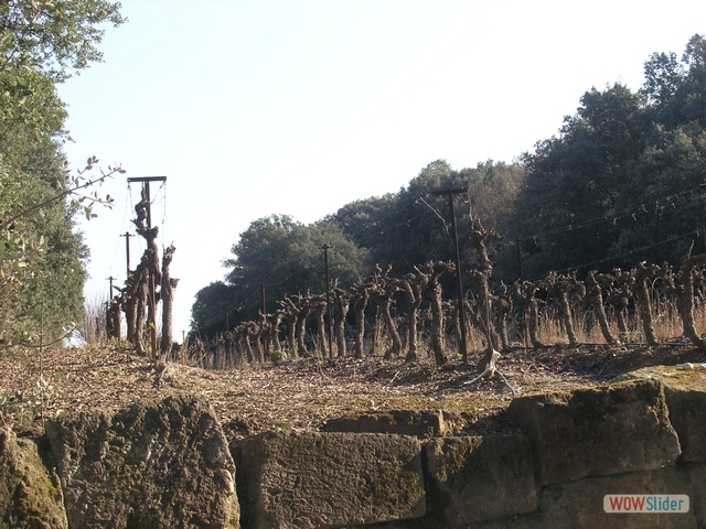 Dolmen0033
