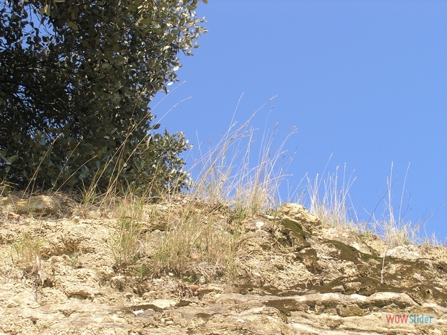 Dolmen0034