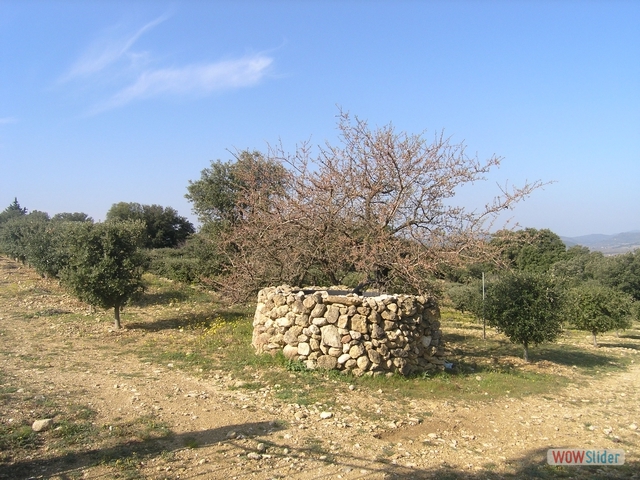 Dolmen0041
