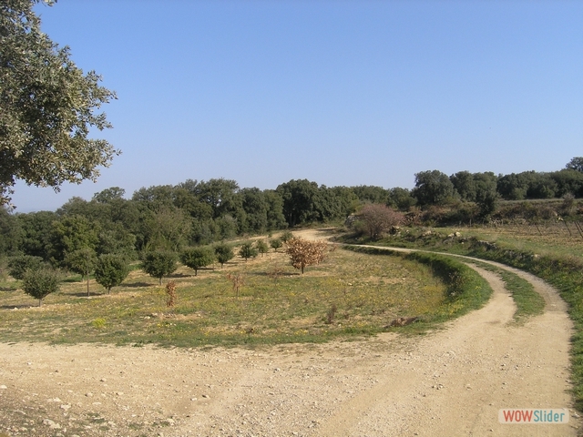 Dolmen0046