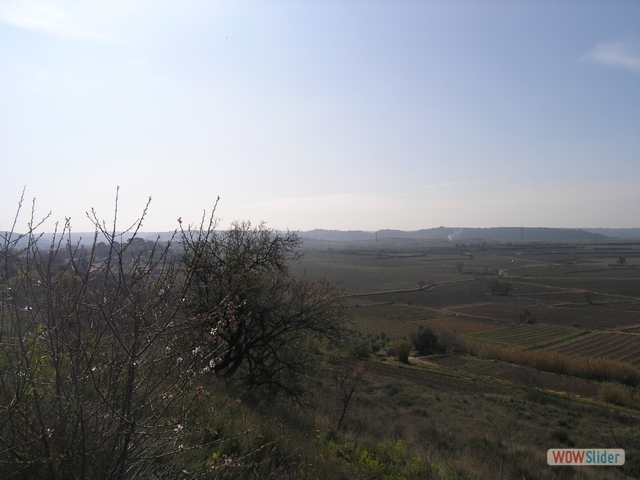 Dolmen0054