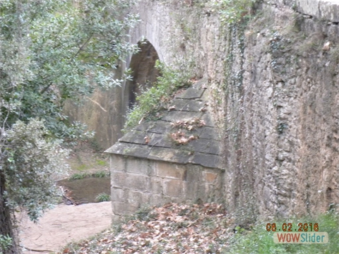 DSCN0165