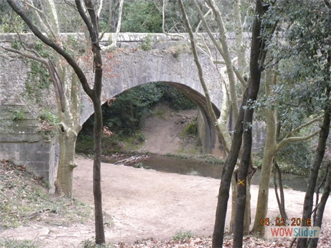 DSCN0166