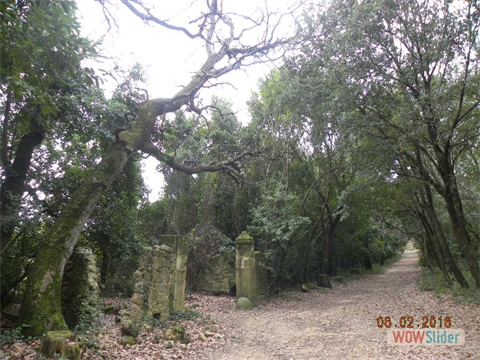 DSCN0205