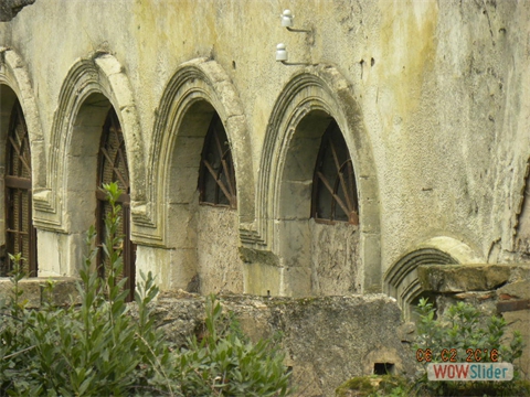 DSCN0223