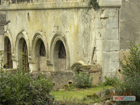 DSCN0224