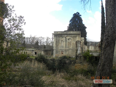DSCN0225
