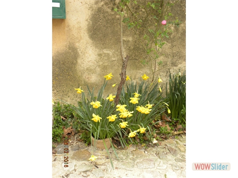 DSCN0240