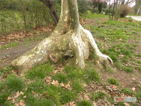 DSCN0243