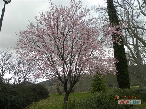 DSCN0245