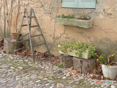 DSCN0249