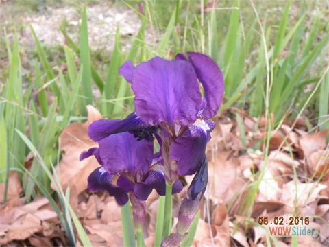 DSCN0252