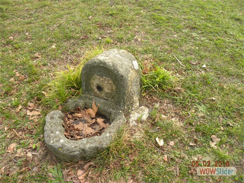 DSCN0253