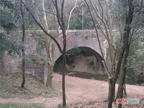 P2060007