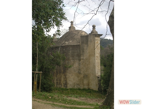 P2060019